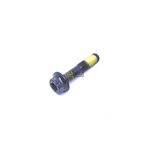 Болт M8 X 1.25 x 60 BRP 250000852