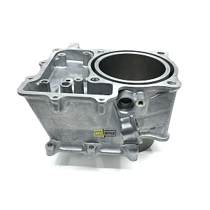 Цилиндр Honda TRX680 12100-HN8-A60