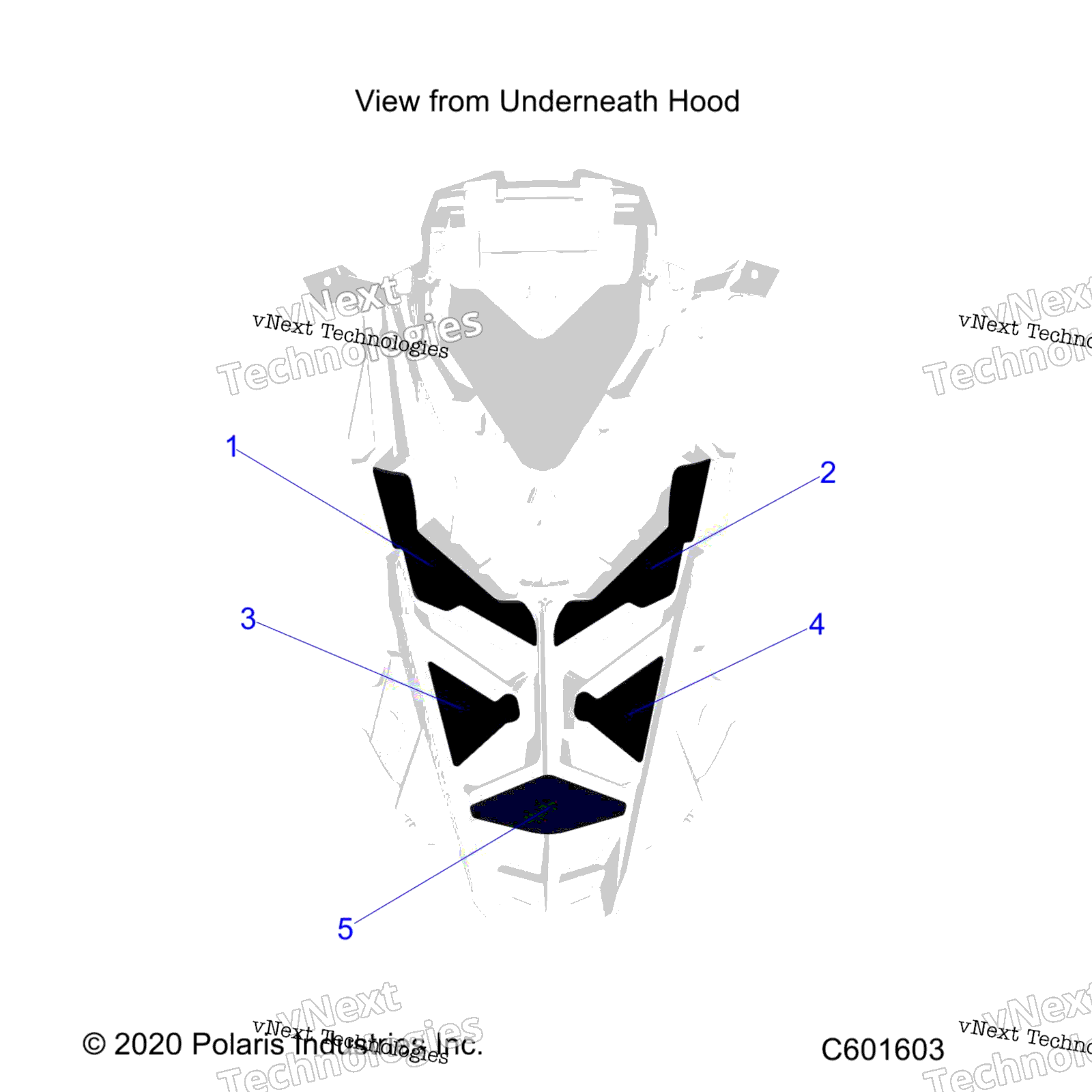 Body, Hood Foam / Seal S24tls6rsl / 6Rel