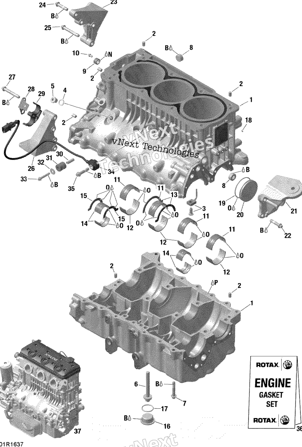Картер - 300