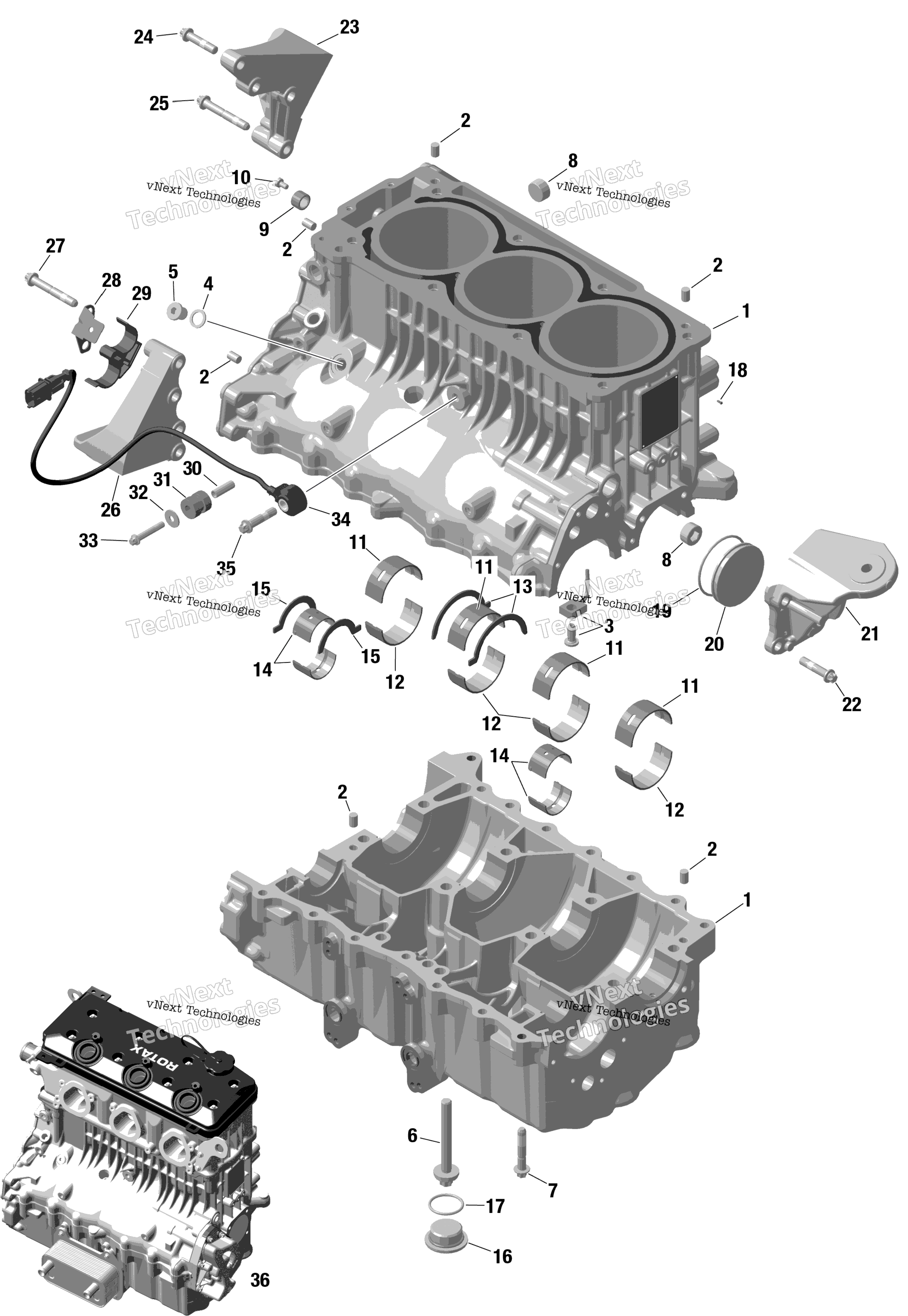 Rotax Crankcase