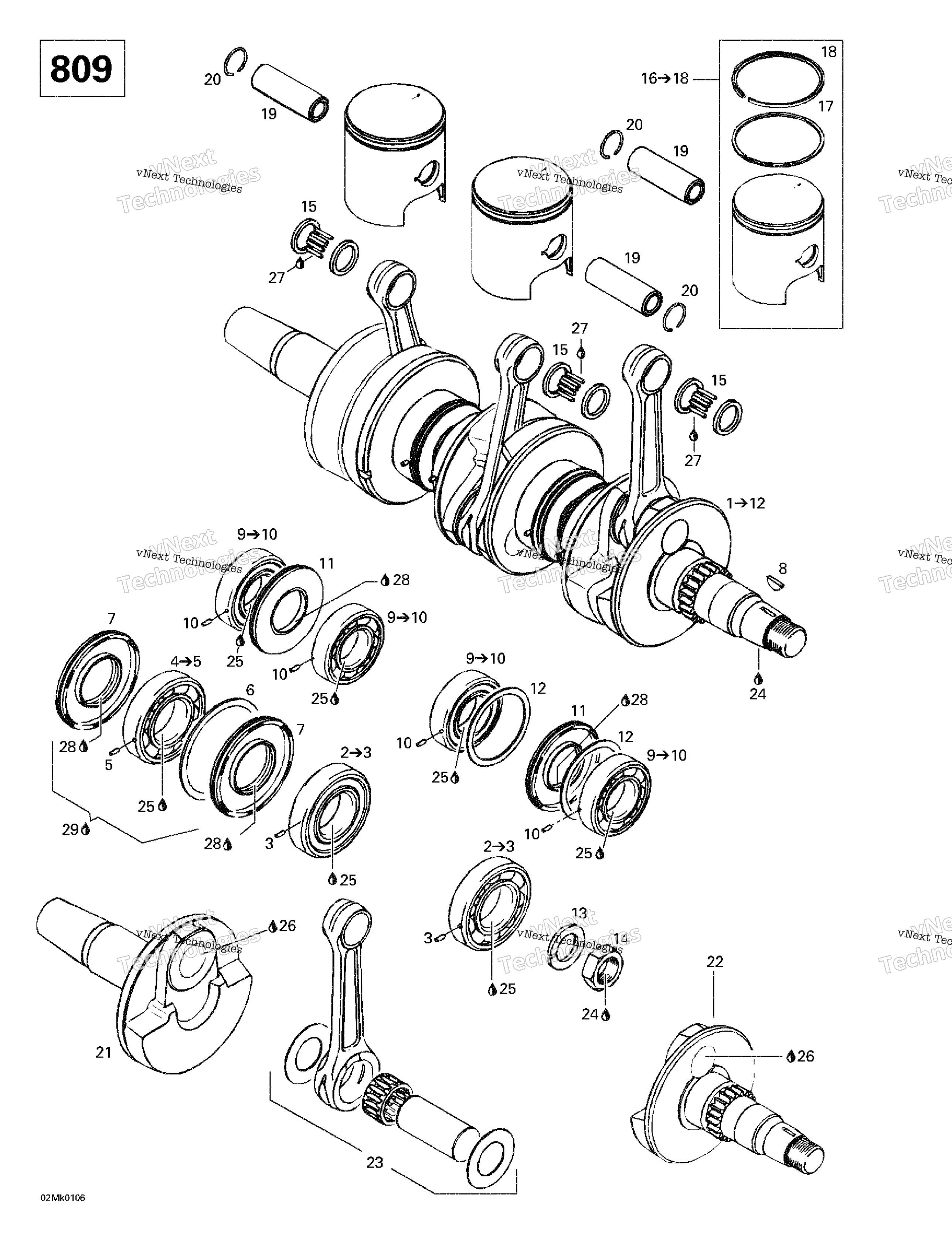 Коленчатый вал And Pistons (809)