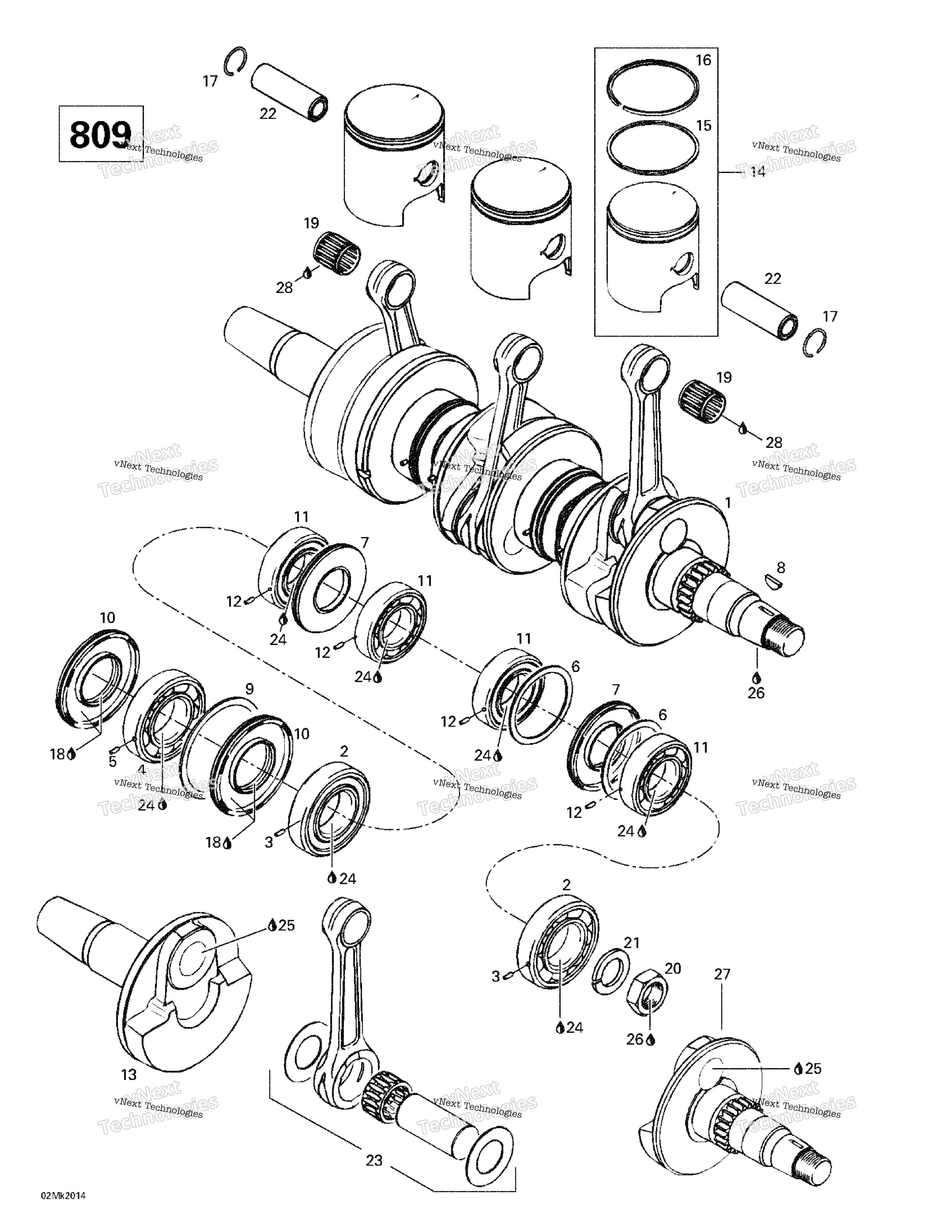Коленчатый вал And Pistons (809)