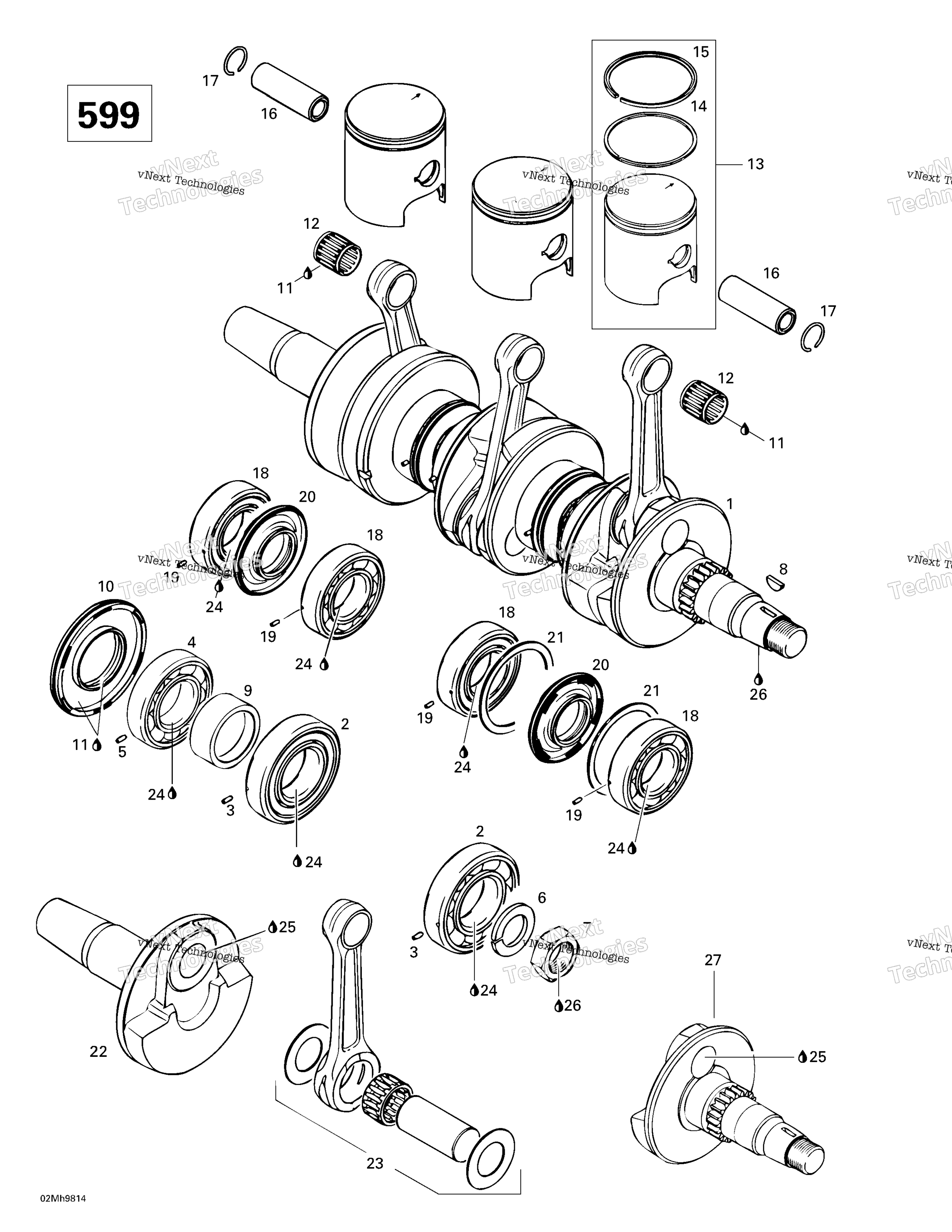 Коленчатый вал And Pistons (599)