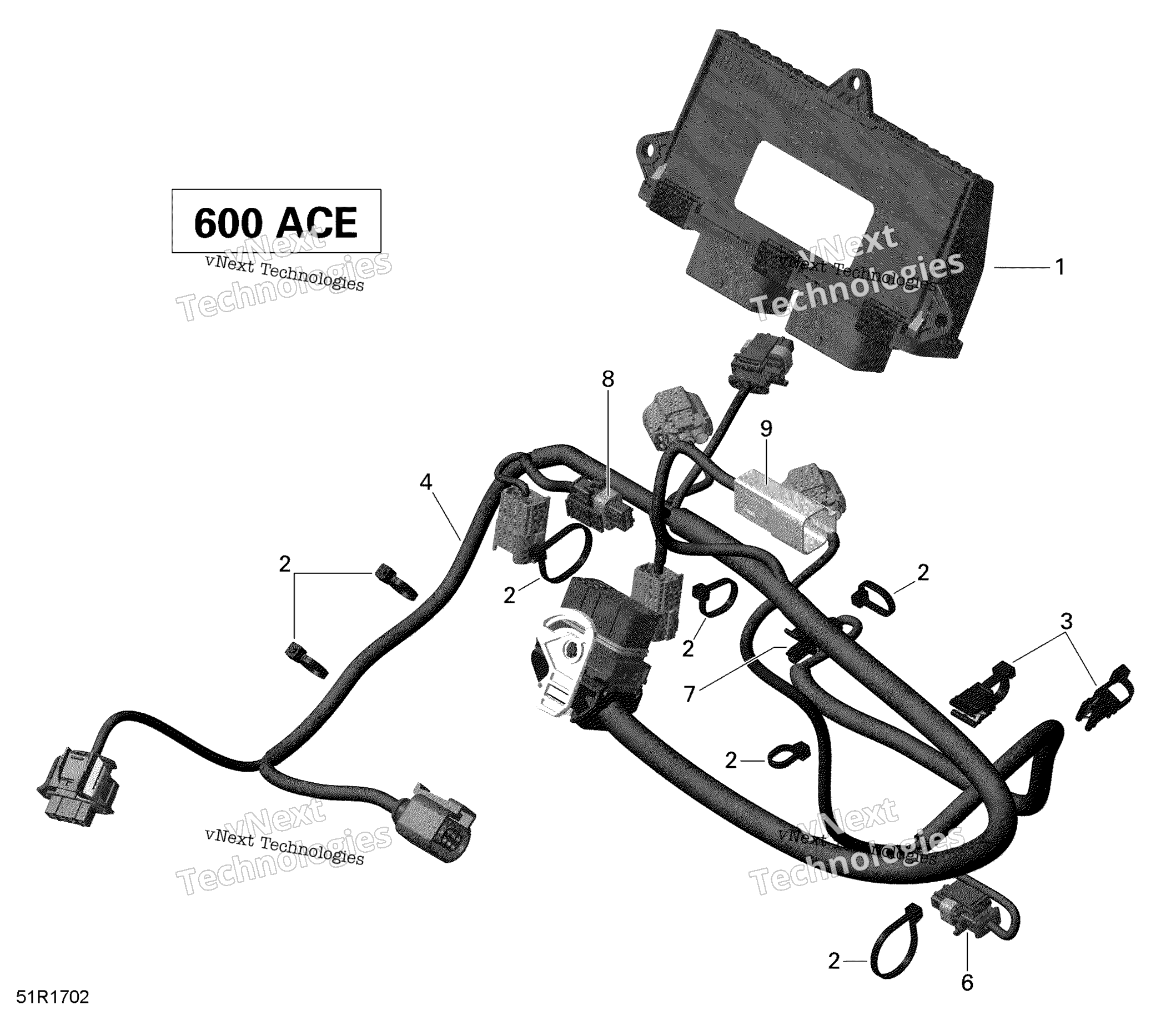 Двигатель Harness And Electronic Module - 600 Ace
