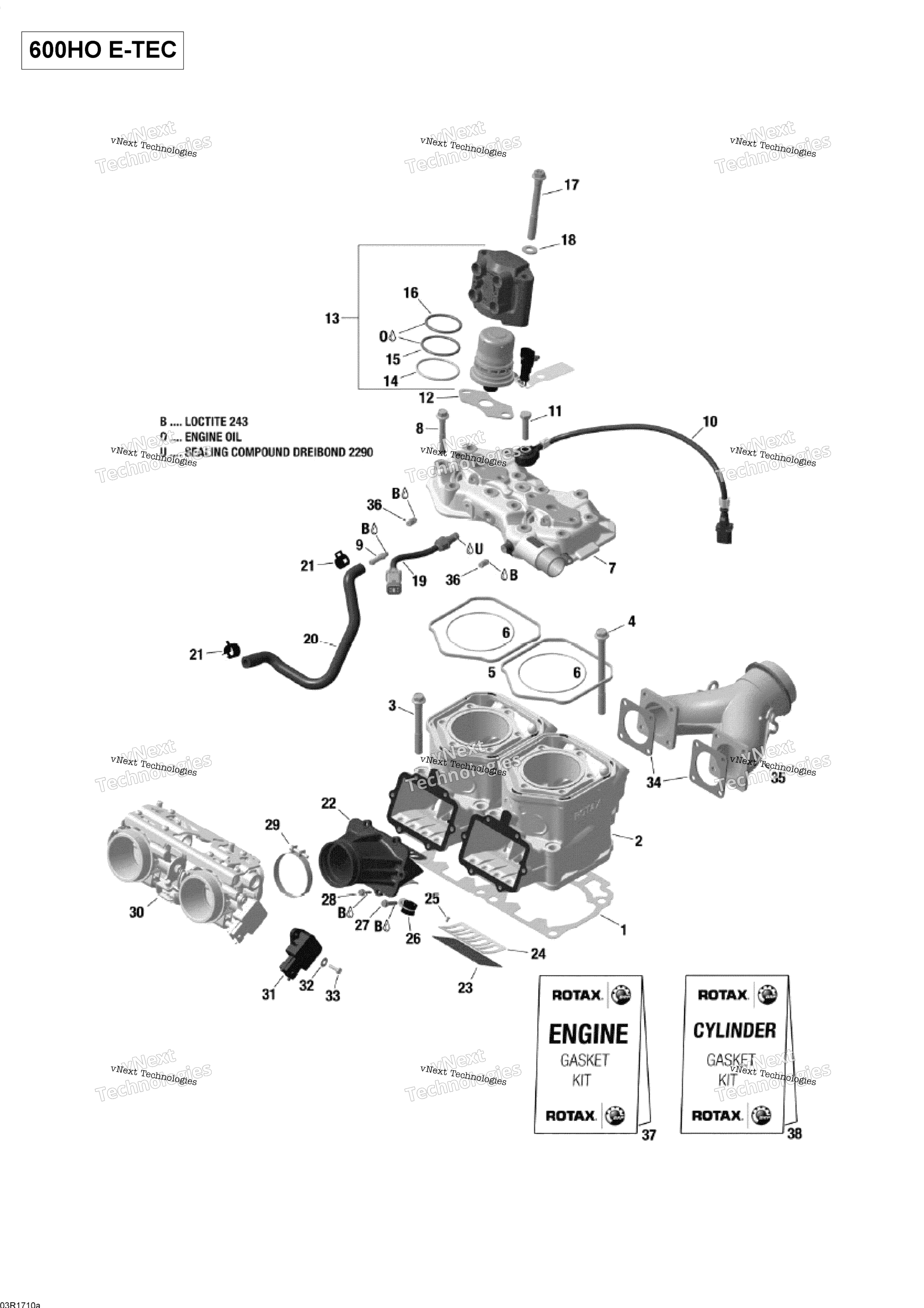 Цилиндр And Cylinder Head - 600Ho E-Tec