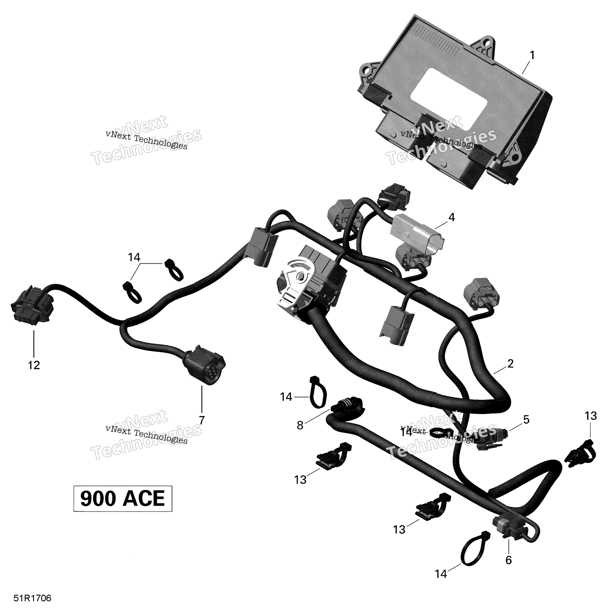 Двигатель Harness And Electronic Module - 900 Ace