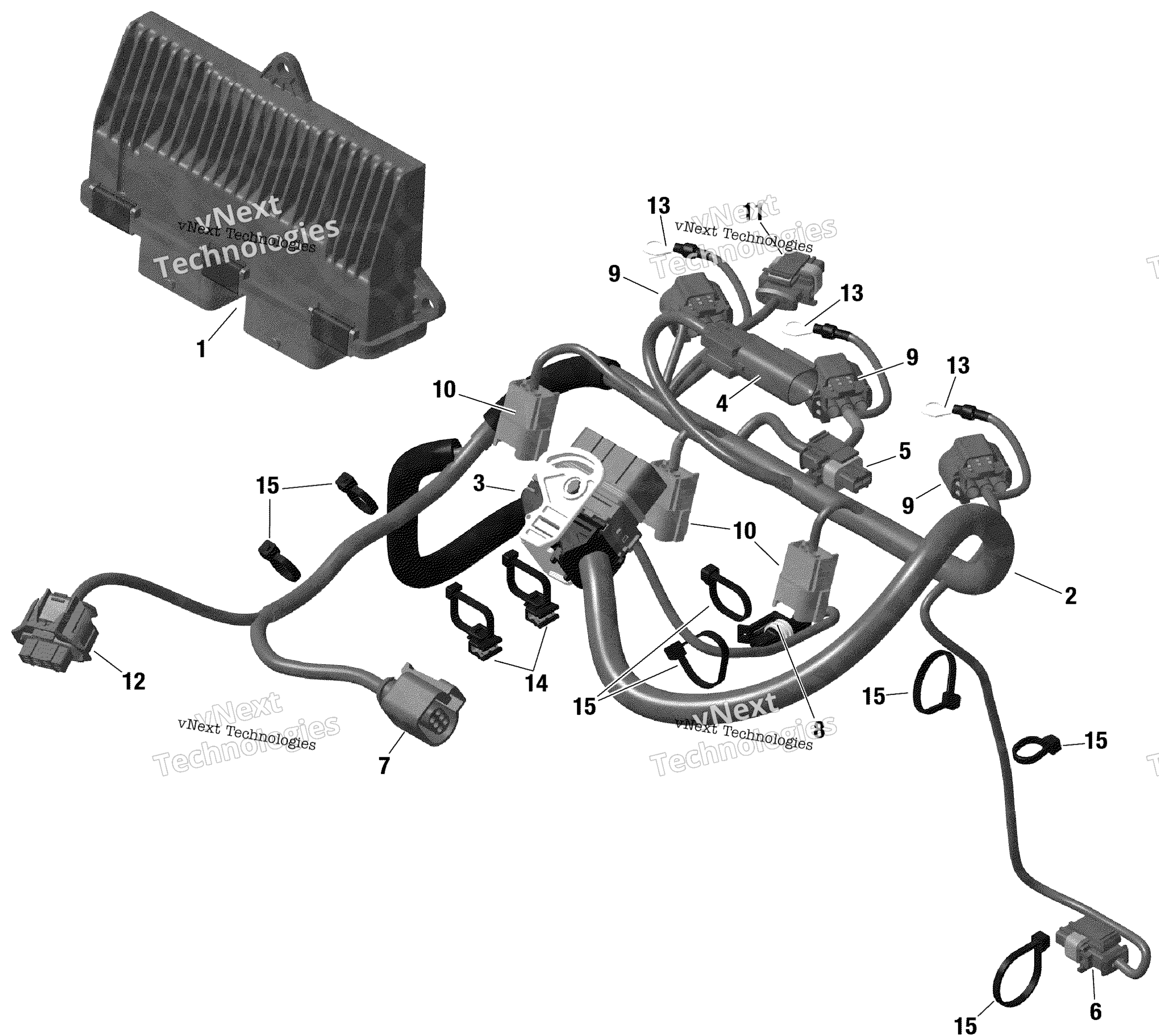 Электрооборудование - Engine Harness And Electronic Module - 900 Ace