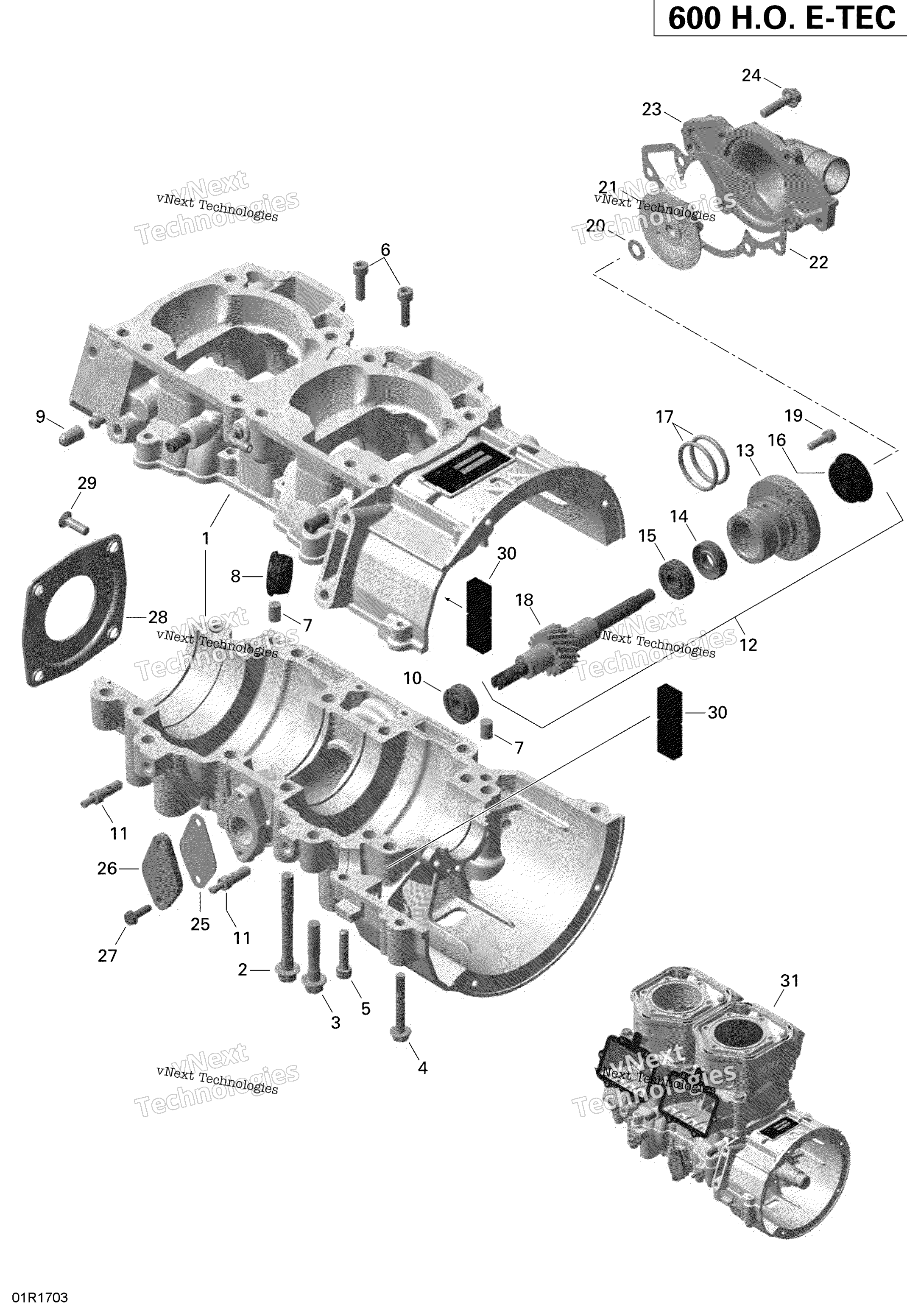 Двигатель - Crankcase And Water Pump - 600Ho E-Tec