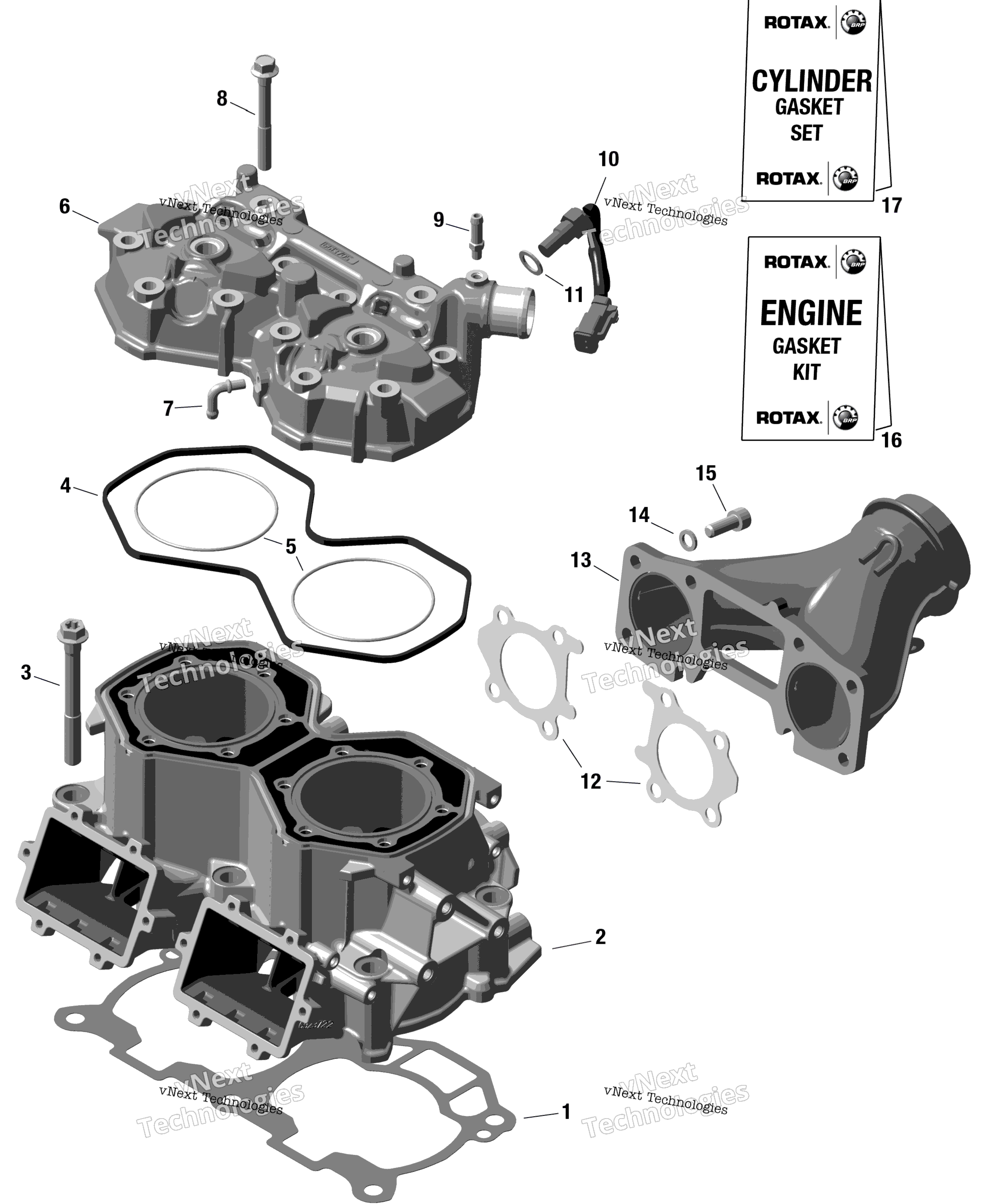 Rotax цилиндр