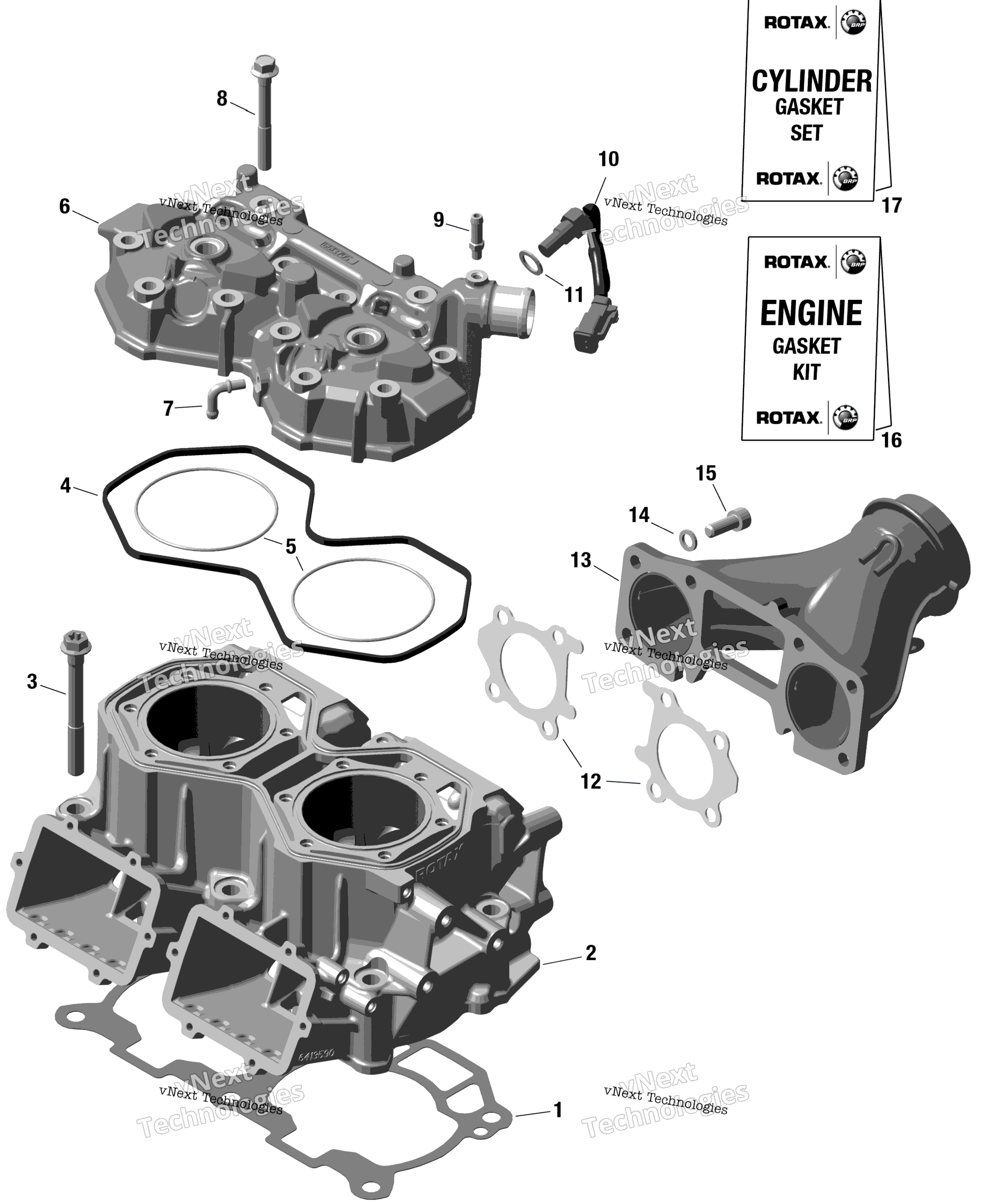 Rotax цилиндр