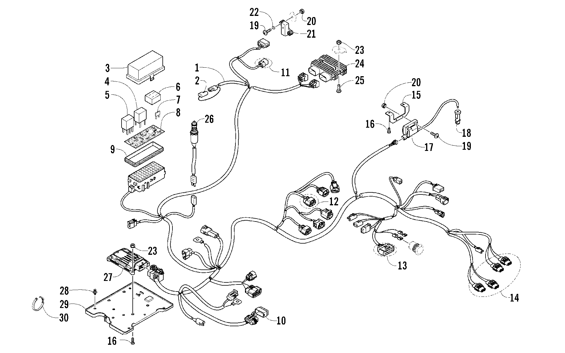 Жгут проводов ASSEMBLY [100242]