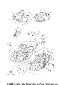 2023 RAPTOR 700 (YFM70RSBPL)