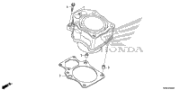 2017 TRX500FA7 AC