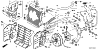 2021 TRX520FM6 3A