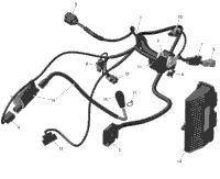 2020 Outlander T 450 EFI - T Regulation