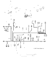 2009 SPORTSMAN TOURING 500 EFI (A09DN50AB/AZ)