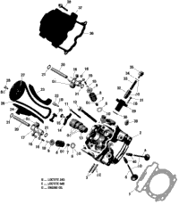 2020 Maverick Trail 800 - T Regulation