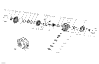 2021 Maverick Trail 1000 - DPS - T Regulation