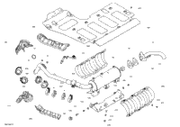 2021 Traxter T HD5 - BASE - T Regulation