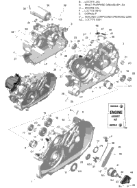 2021 Traxter T HD5 - BASE - T Regulation