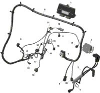 2023 Maverick Trail 1000 - DPS - T Regulation