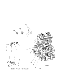 2019 ACE 900 EPS XC (A19DCE87AK)