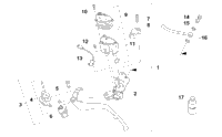 2017 ZR 9000 LTD 137 ORANGE (S2017ZXXLEUSO)