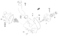2017 ZR 8000 LXR ES 137 BLACK (S2017ZXHLXUSB)