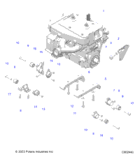 2024 550 SWITCHBACK SPORT 144 ES (S24CEA5TSL)