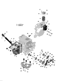 2016 SKANDIC - 4-STROKE