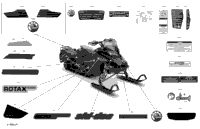 2022 BACKCOUNTRY 600R E-TEC - STD - North America (Built After March 2021)