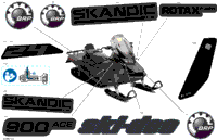 2023 SKANDIC LE 900 ACE - 24 INCH - (ANPA-ANPB) - North America