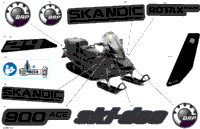 2023 SKANDIC SE 900 ACE - 24 INCH - North America