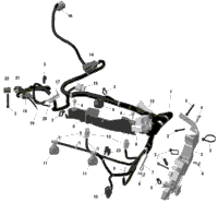 2024 North America - BACKCOUNTRY 850 E-TEC - X - UKRD - Northern Lichen - 146X15X1.6C Track
