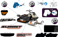 2024 North America - SUMMIT 850 E-TEC - Adrenaline with Edge Package - CGRC - Northern Lichen - 154X16X2.5PLF Track