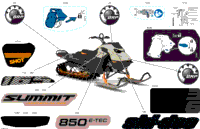2024 North America - SUMMIT 850 E-TEC - Adrenaline with Edge Package - CHRB - Northern Lichen - 165X16X3P4F Track