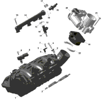 2023 RYKER 600 ACE, North America (F1PA)