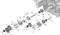 2024 North America - RYKER 600 ACE - F1RC - STD - CARB - Deep Black