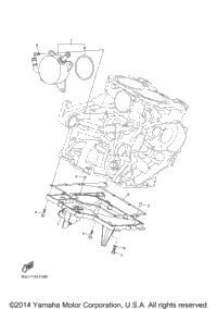2015 PHAZER RTX (PZ50RTFB)