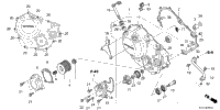 2024 CRF300LDA AC