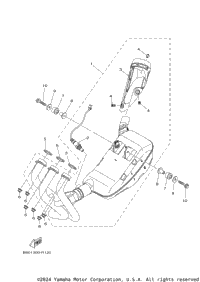 2019 XSR900 (XSR900KCGY) CA