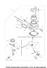 2023 YZ250 (YZ250P2L)