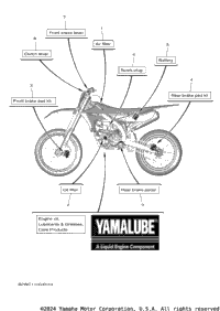 2023 YZ250F (YZ250FPL)