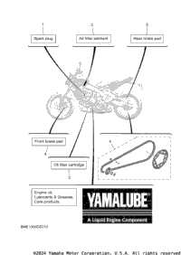 2024 MT09 (MT09RL)