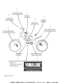 2024 YZ450F (YZ450FRL)