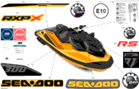 2023 RXP X 300